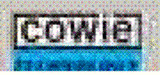 Cowie-Technology-logo_1