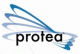 Protea-logo_1